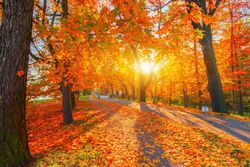 Meteorologii ANM au emis prognoza meteo pentru perioada 8 septembrie – 10 octombrie 2025: Urmează o perioadă cu temperaturi peste limita normalului pentru aceatsă perioadă Meteorologii ANM au emis prognoza meteo pentru perioada 8 septembrie – 10 octombrie 2025: Urmează o perioadă cu temperaturi peste limita normalului pentru aceatsă perioadă